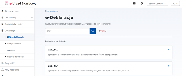 screen ekranu portalu e-Urząd Skarbowy