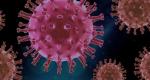 Grafika z wizualizacją komórki wirusa