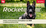 Pies leżu na trawie.
Napis: Rocket, nowy czworonożny funkcjonariusz SCS z wielkopolskiej KAS
