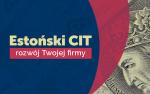 Grafika z napisem Estoński CIT rozwój twojej firmy. Z prawej strony głowa w koronie.